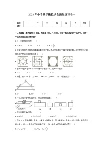 2023年中考数学模拟试卷强化练习卷十（含答案）