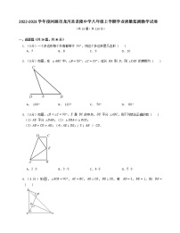 广东省河源市龙川县老隆学校2022-2023学年八年级上学期学业质量监测数学试卷（含答案）