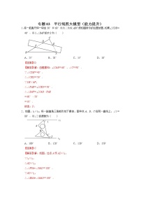 备战2023年中考数学一轮复习 能力提升 专题03  平行线四大模型(解析版)