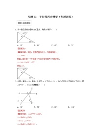 备战2023年中考数学一轮复习 专项训练 专题03  平行线四大模型(解析版)