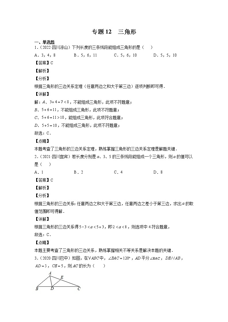 2023年中考数学复习专项专练专题12 三角形及答案(四川版)第1页