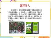 6.4随机现象的变化趋势 课件＋教案