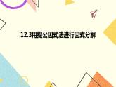 12.3用提公因式法进行因式分解 课件＋教案