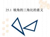 25.1锐角三角比的意义-沪教版（上海）九年级数学上册课件