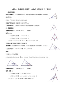 专题06 老鹰抓小鸡模型与双角平分线模型（三角形）（解析版）