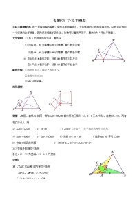 专题08 手拉手模型（解析版）