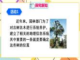 7《数学活动》课件+教案+导学案