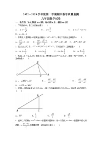 安徽省宣城市2022-2023学年九年级上学期数学期末调研试题