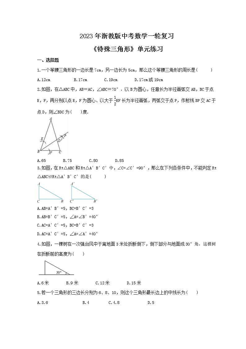 2023年浙教版中考数学一轮复习《特殊三角形》单元练习（含答案）第1页