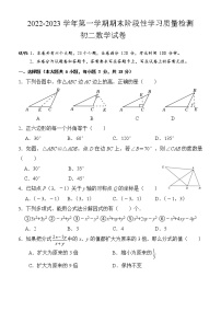 江西省南昌市十校联考2022-2023学年八年级上学期期末阶段性学习质量检测+数学试卷（含答案）