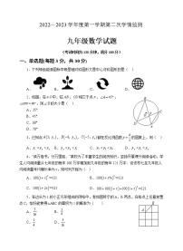 山东省济宁市金乡县2022-2023学年九年级上学期期末考试数学试题（含答案）