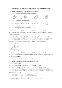 泰州市泰兴市2022-2023学年八年级上学期期末数学试题（含解析）