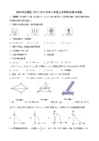 扬州市江都区2022-2023学年八年级上学期期末数学试题（含答案）