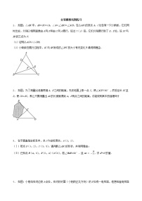 专题08 全等模型巩固练习（解析版+原卷版+知识点）