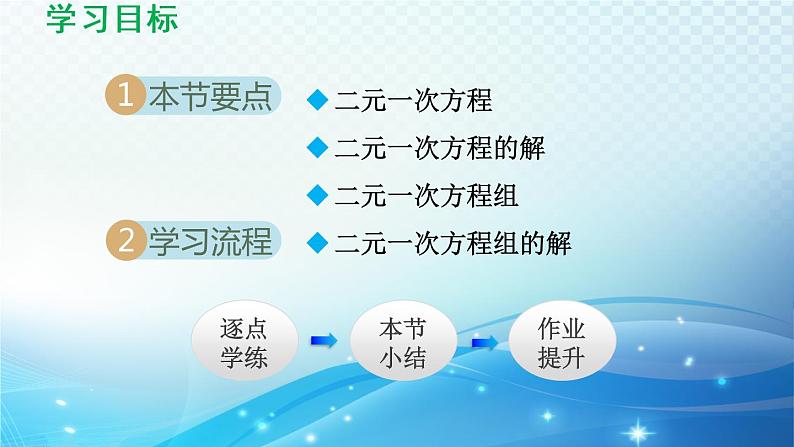 7.1 二元一次方程组和它的解 华东师大版七年级数学下册导学课件02