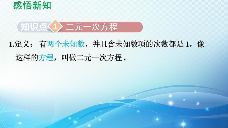 7.1 二元一次方程组和它的解 华东师大版七年级数学下册导学课件03