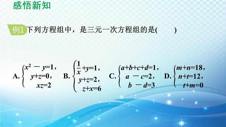 7.3 三元一次方程组及其解法 华东师大版七年级数学下册导学课件第6页