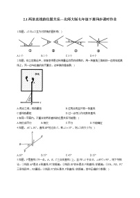 北师大版七年级下册第二章 相交线与平行线1 两条直线的位置关系课时训练