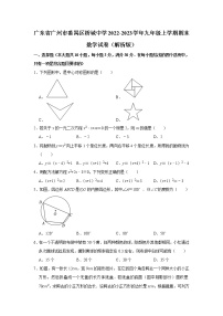 广东省广州市番禺区桥城中学2022-2023学年九年级上学期期末数学试卷