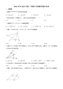 广东省广州市外国语学校2022_2023学年八年级上学期数学期末考试卷