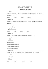 初中北师大版4 角平分线优秀一课一练