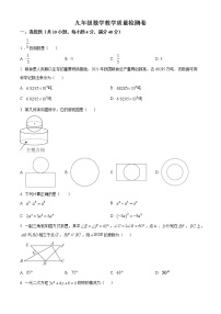 安徽省合肥市五十中学东校2022--2023学年九年级上学期期末质量检测数学试卷（含答案）