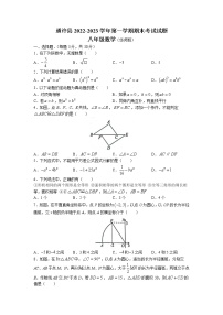 河南省开封市通许县2022-2023学年八年级上学期期末数学试题