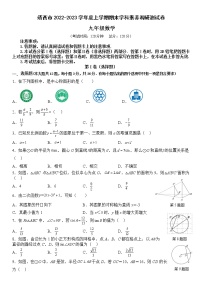 广西壮族自治区百色市靖西市2022-2023学年九年级上学期期末学科素养调研测数学试卷（含答案）