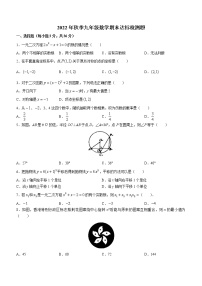 海南省省直辖县级行政单位临高县2022-2023学年九年级上学期期末数学试题（含答案）