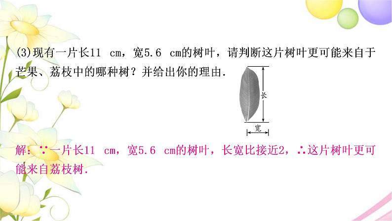中考数学复习专项训练七综合与实践作业课件08