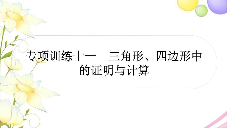 中考数学复习专项训练十一三角形、四边形中的证明与计算作业课件01