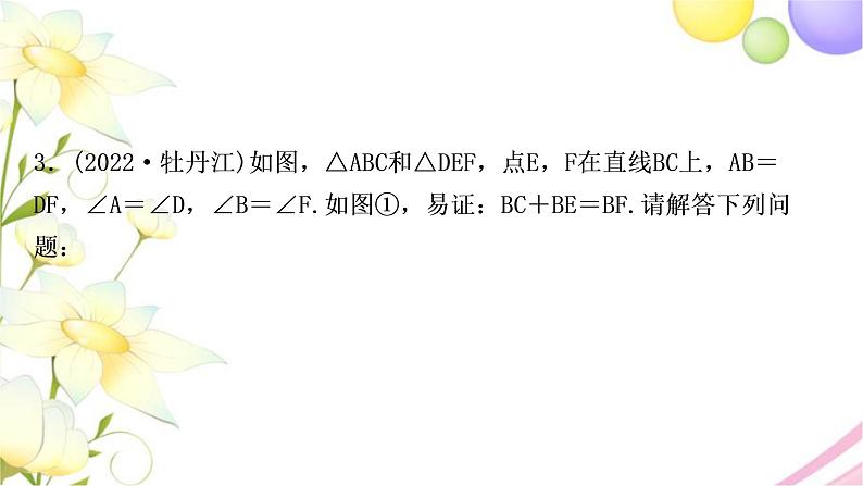 中考数学复习专项训练十一三角形、四边形中的证明与计算作业课件08