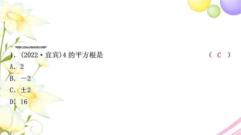 中考数学复习第一章数与式第二节数的开方与二次根式作业课件02