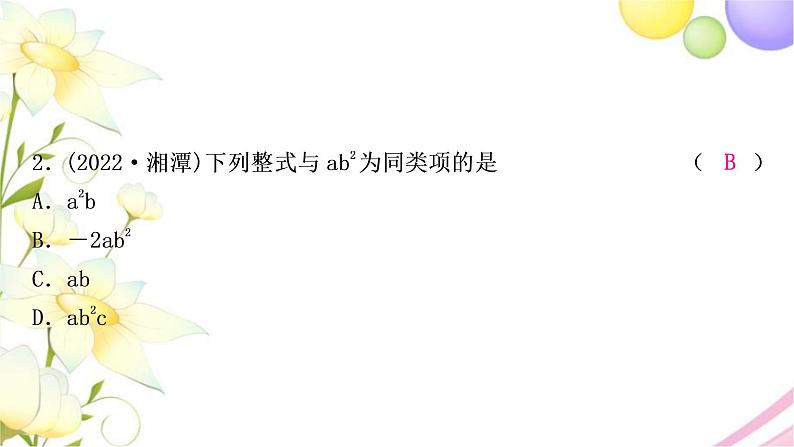 中考数学复习第一章数与式第三节代数式、整式与因式分解作业课件03