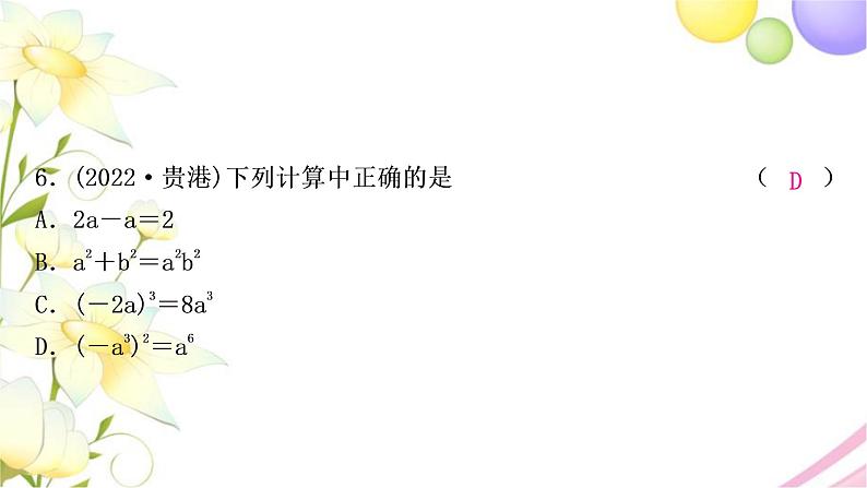 中考数学复习第一章数与式第三节代数式、整式与因式分解作业课件07