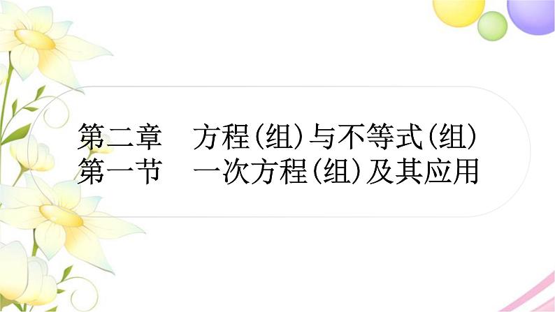 中考数学复习第二章方程(组)与不等式(组)第一节一次方程(组)及其应用作业课件01