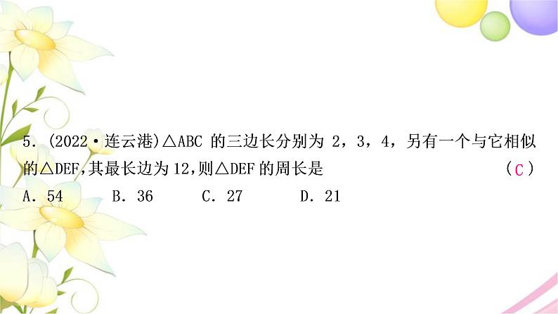 中考数学复习第四章三角形第五节图形的相似作业课件第6页