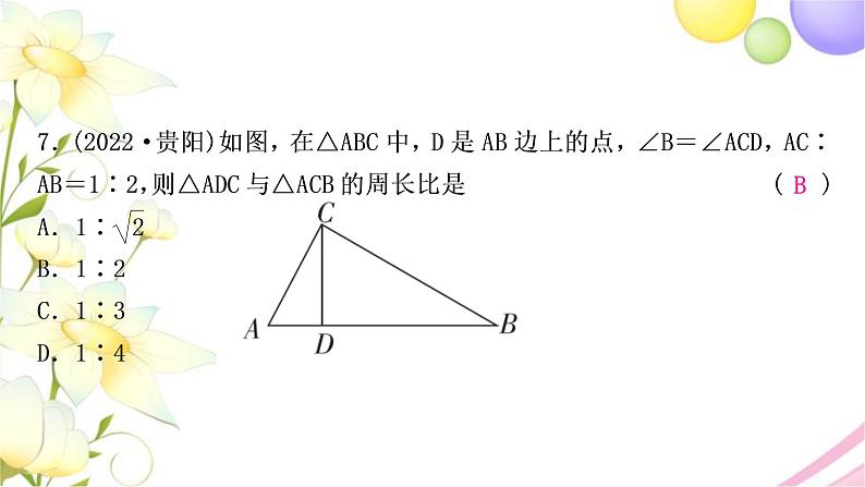 中考数学复习第四章三角形第五节图形的相似作业课件第8页