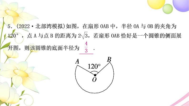 中考数学复习第六章圆第三节与圆有关的计算作业课件06