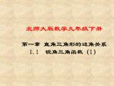 北师大版数学九年级下册 1.1锐角三角函数 第1课时 课件