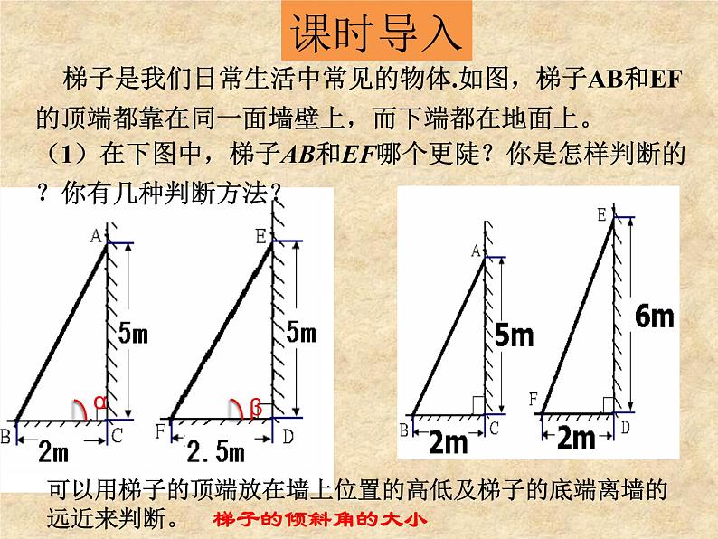 北师大版数学九年级下册 1.1锐角三角函数 第1课时 课件04