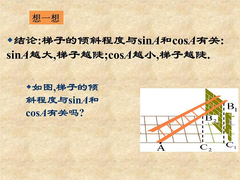 北师大版数学九年级下册 1.1锐角三角函数 第2课时 课件第7页