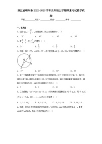 浙江省嵊州市2022-2023学年九年级上学期期末考试数学试题