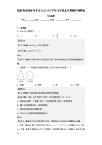 陕西省咸阳市兴平市2022-203学年九年级上学期期末调研数学试题