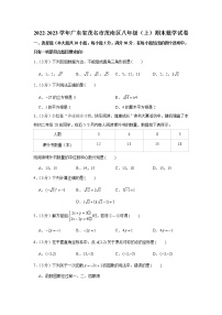 2022-2023学年广东省茂名市茂南区八年级（上）期末数学试卷