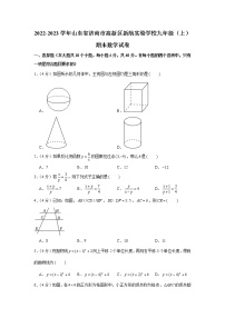 2022-2023学年山东省济南市高新区新航实验学校九年级（上）期末数学试卷