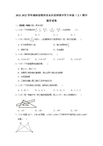 2021-2022学年湖南省郴州市永兴县树德中学八年级（上）期中数学试卷