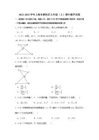 2022-2023学年上海市普陀区九年级（上）期中数学试卷