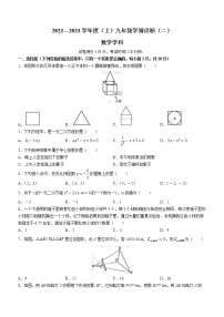 辽宁省沈阳市大东区2022-2023学年九年级上学期期末数学试题(含答案)