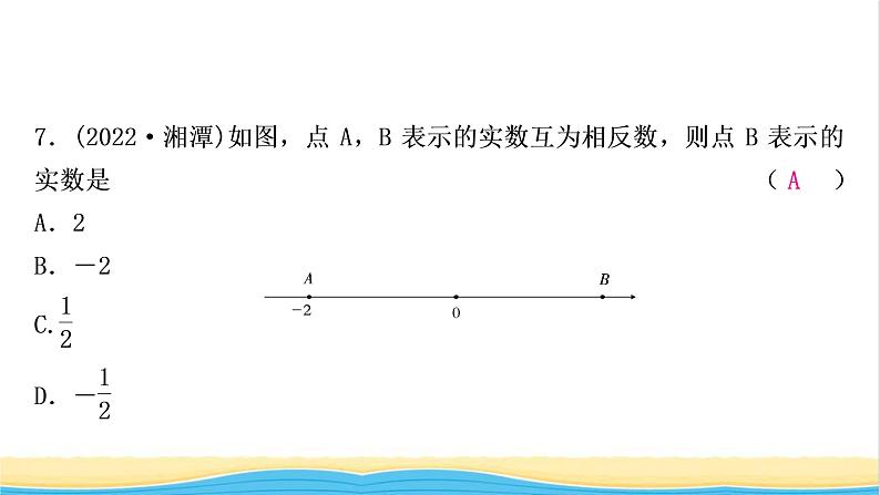 中考数学复习第一章数与式第一节实数作业课件第8页